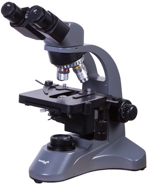 Binocular microscope