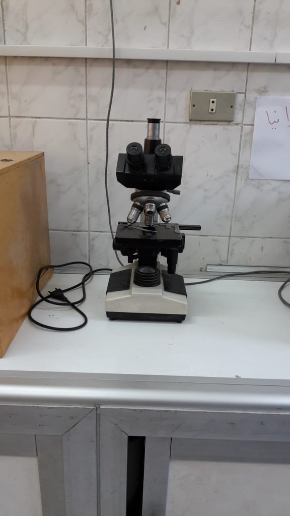 Light microscope