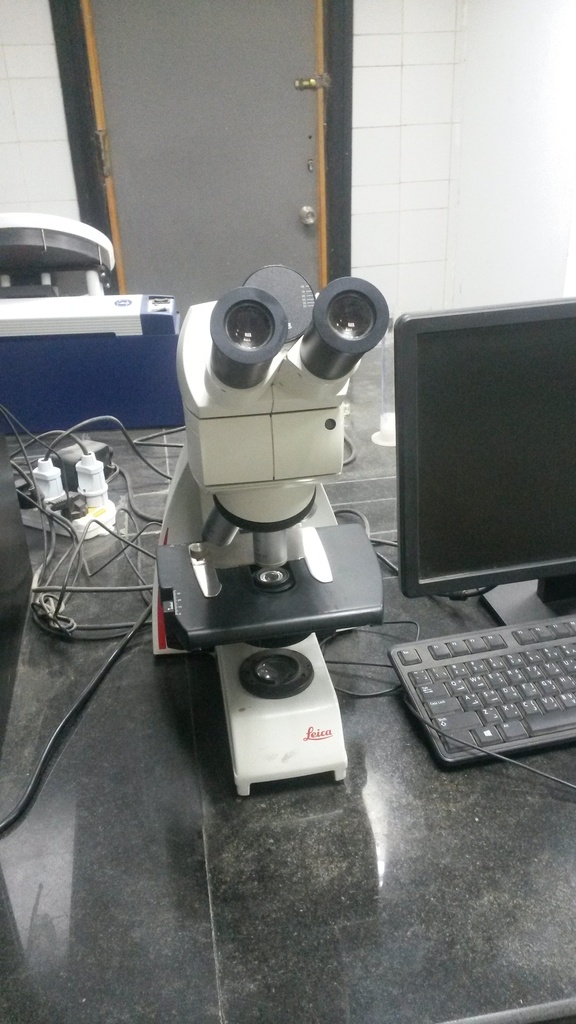 Light microscope