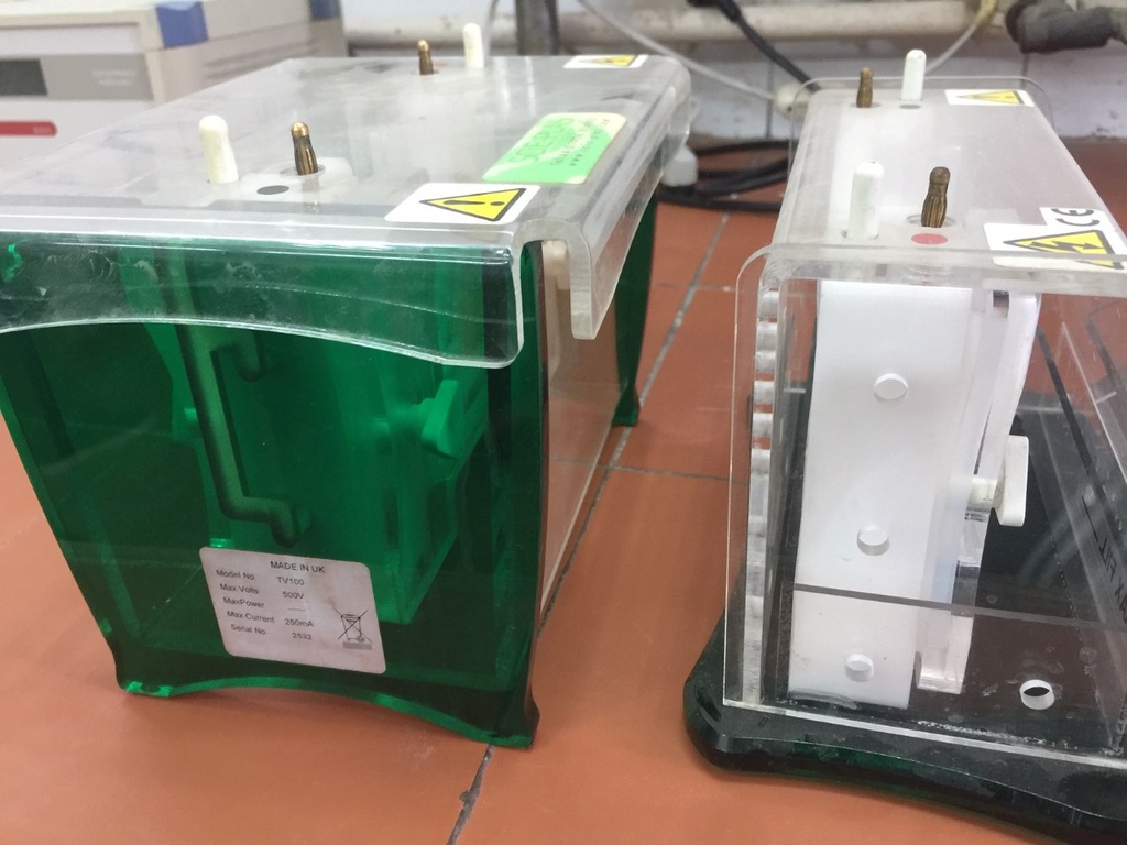 Protein electrophoresis unit