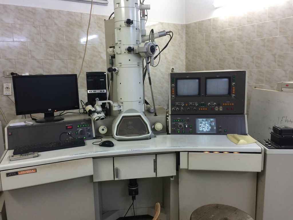 Electron microscopy