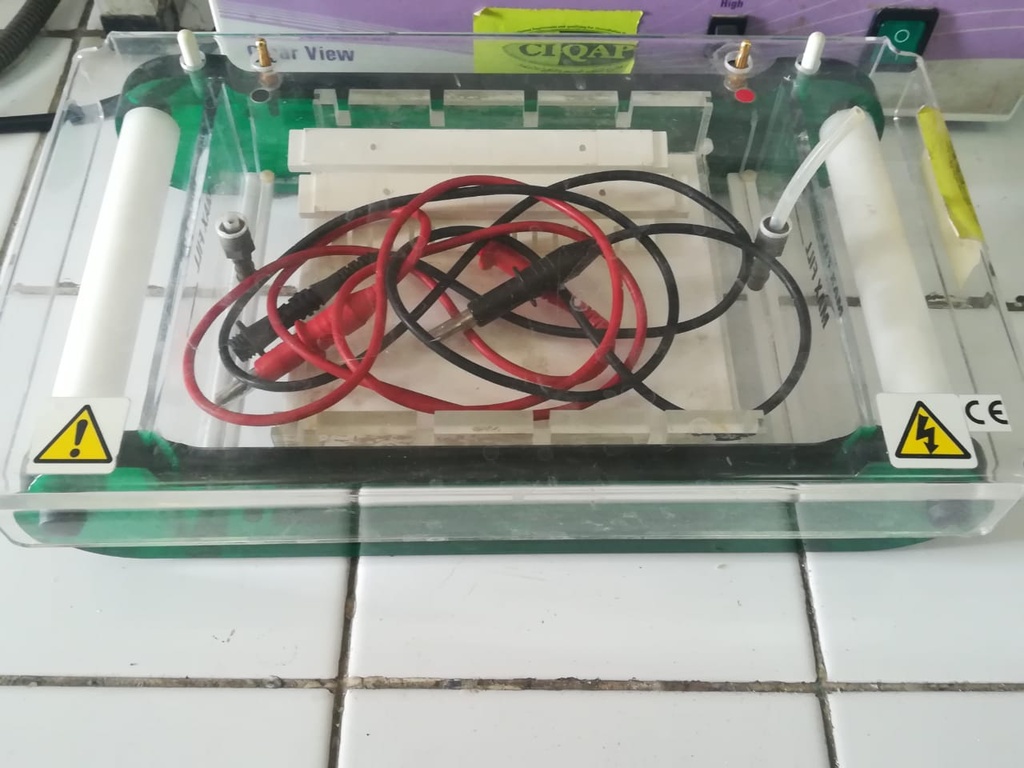 Dna electrophoresis