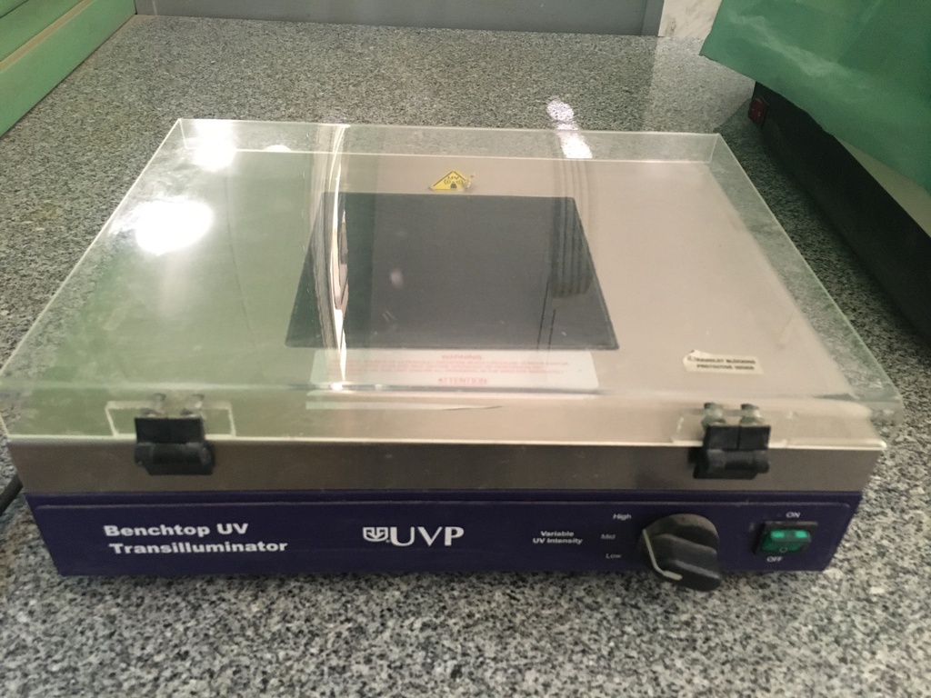 Benchtop uv transilluminator