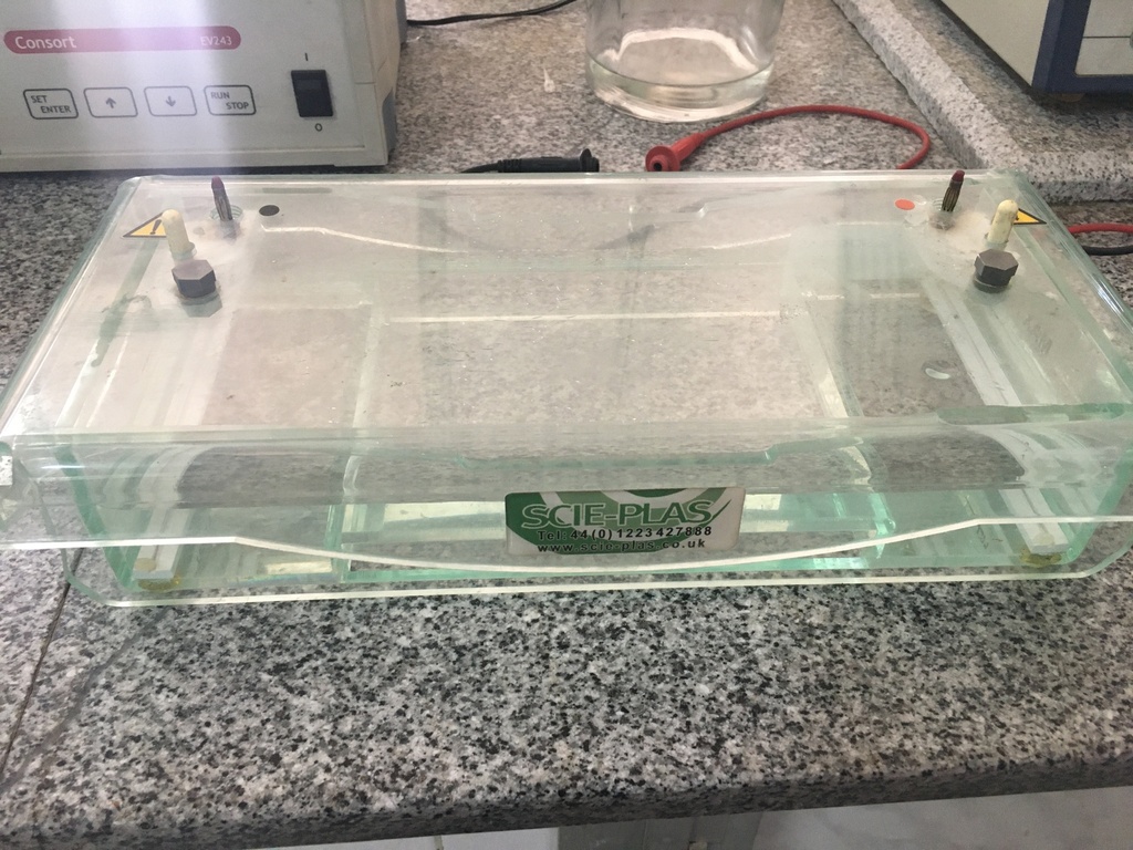 Electrophoresis unit