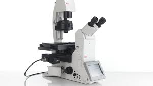 Fluorescence microscope