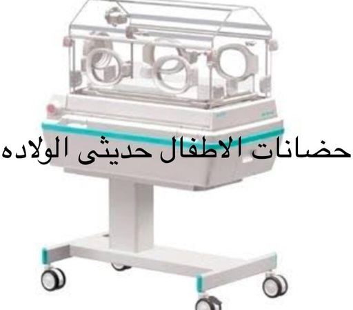 Portable incubator