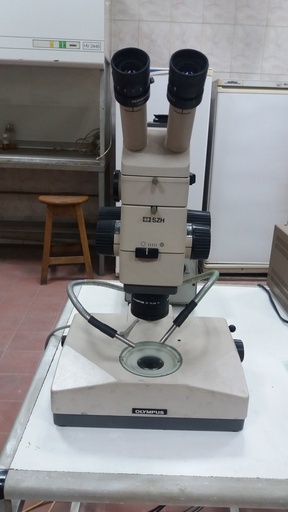 Dissecting microscope