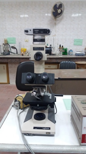 Phase contrast microscope