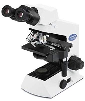 Binocular microscope