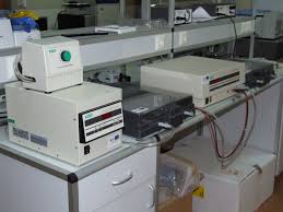 Pulsed field electrophoresis