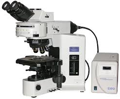 Flourscent microscope-tri- with digital camera