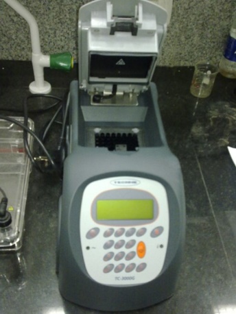 Gradient thermal cycler pcr