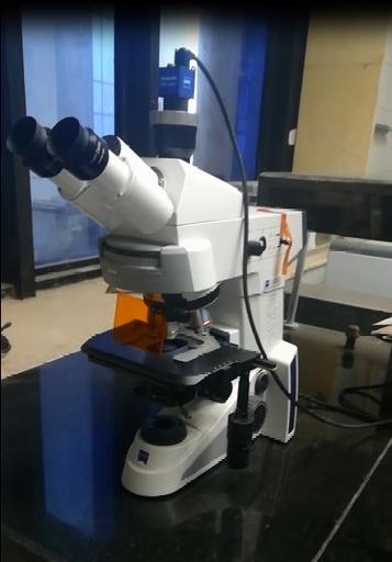 Fluorescence microscope