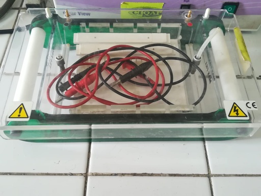 Dna electrophoresis